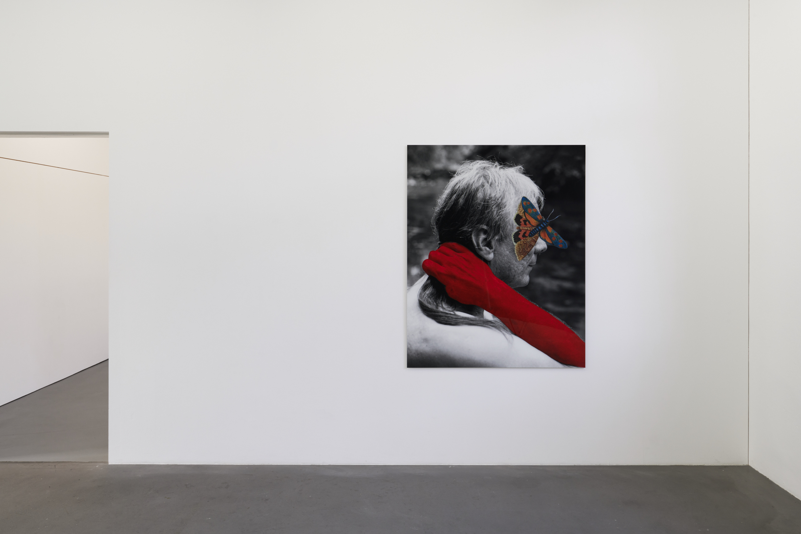 Cécile Monnier image