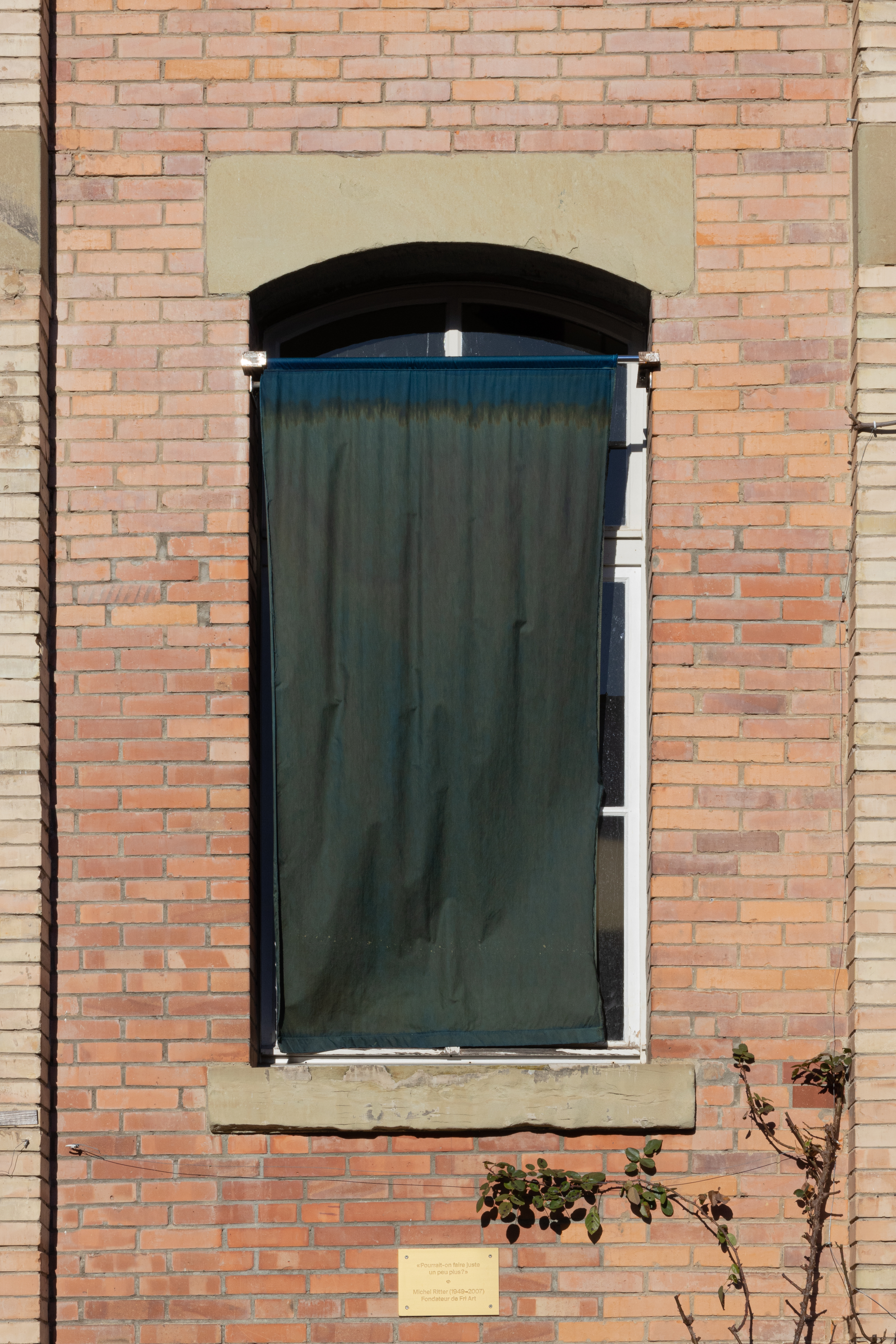 La main–pleur image