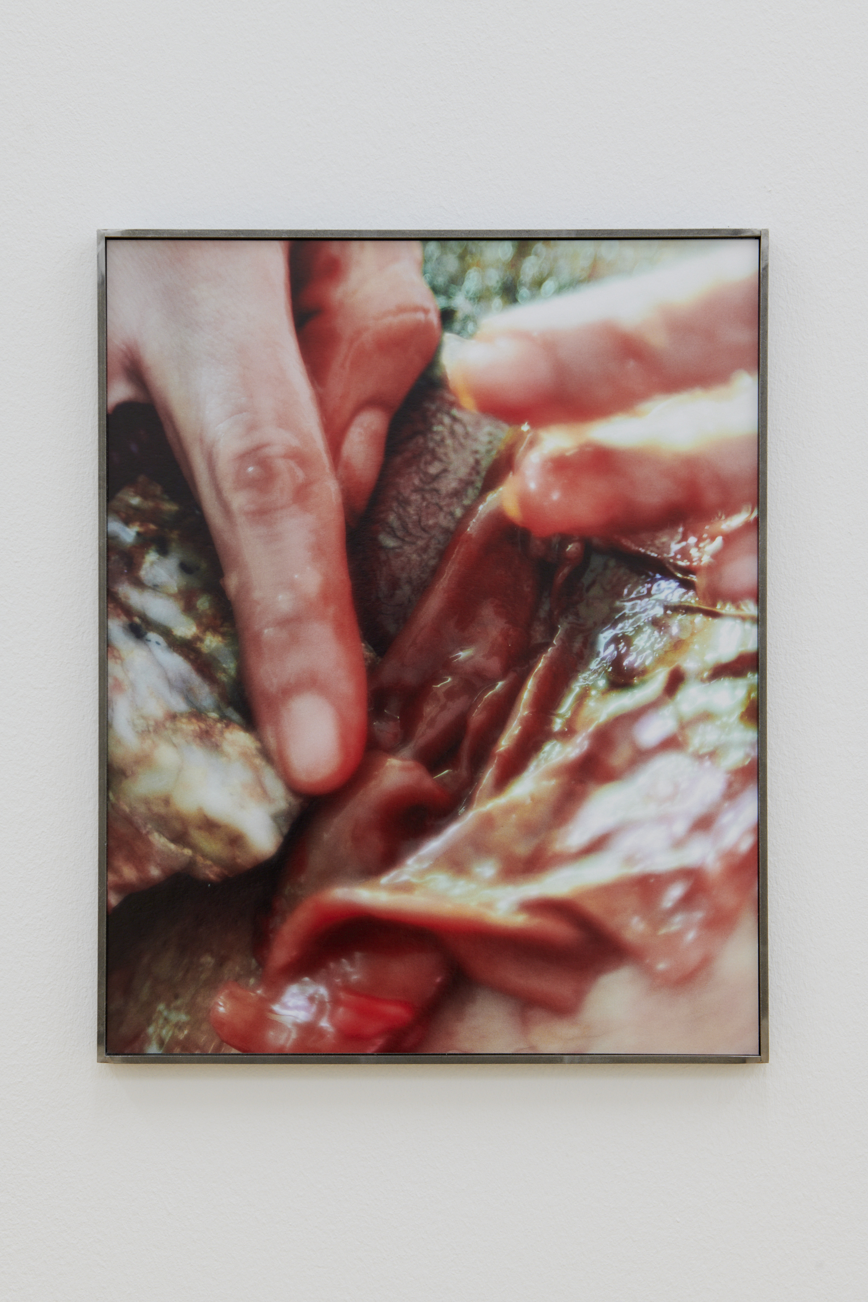 La main–pleur image