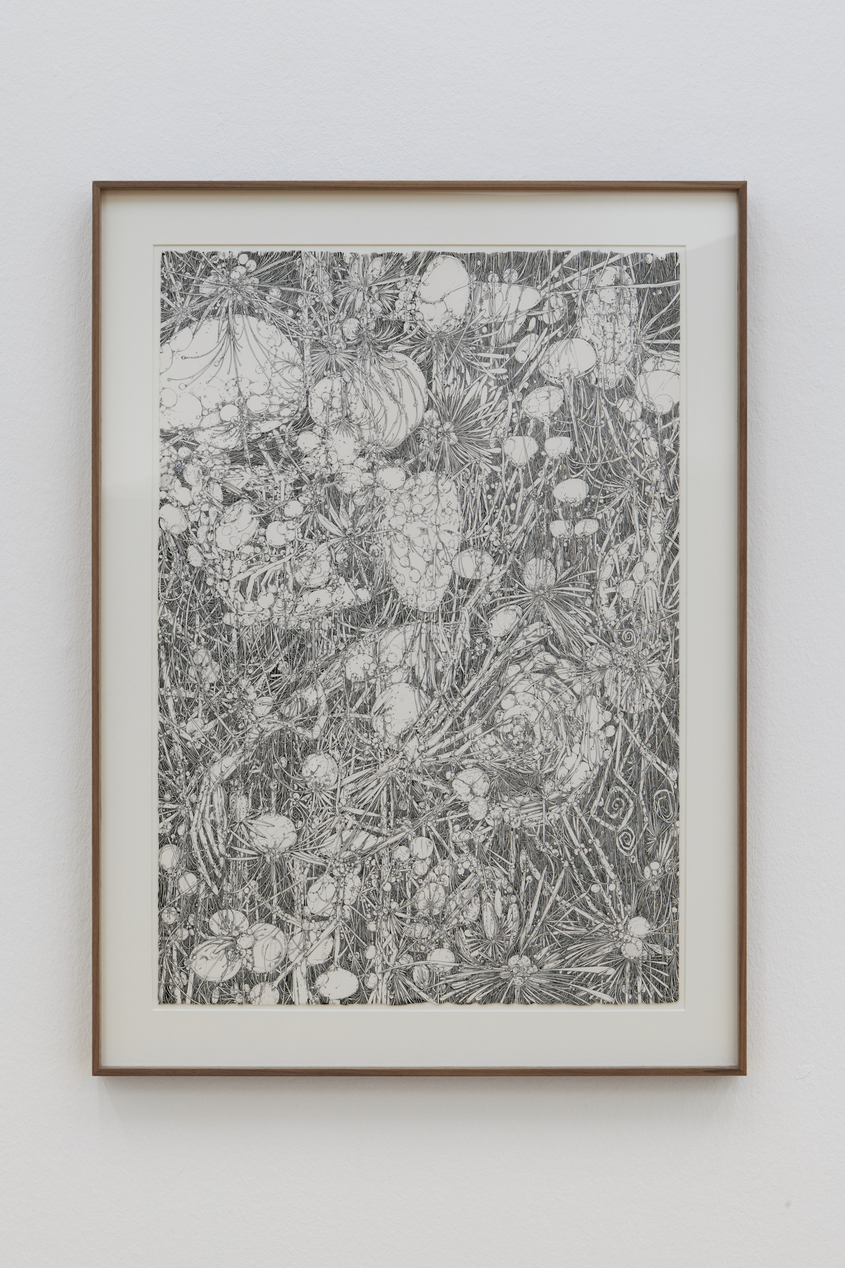 La main–pleur image