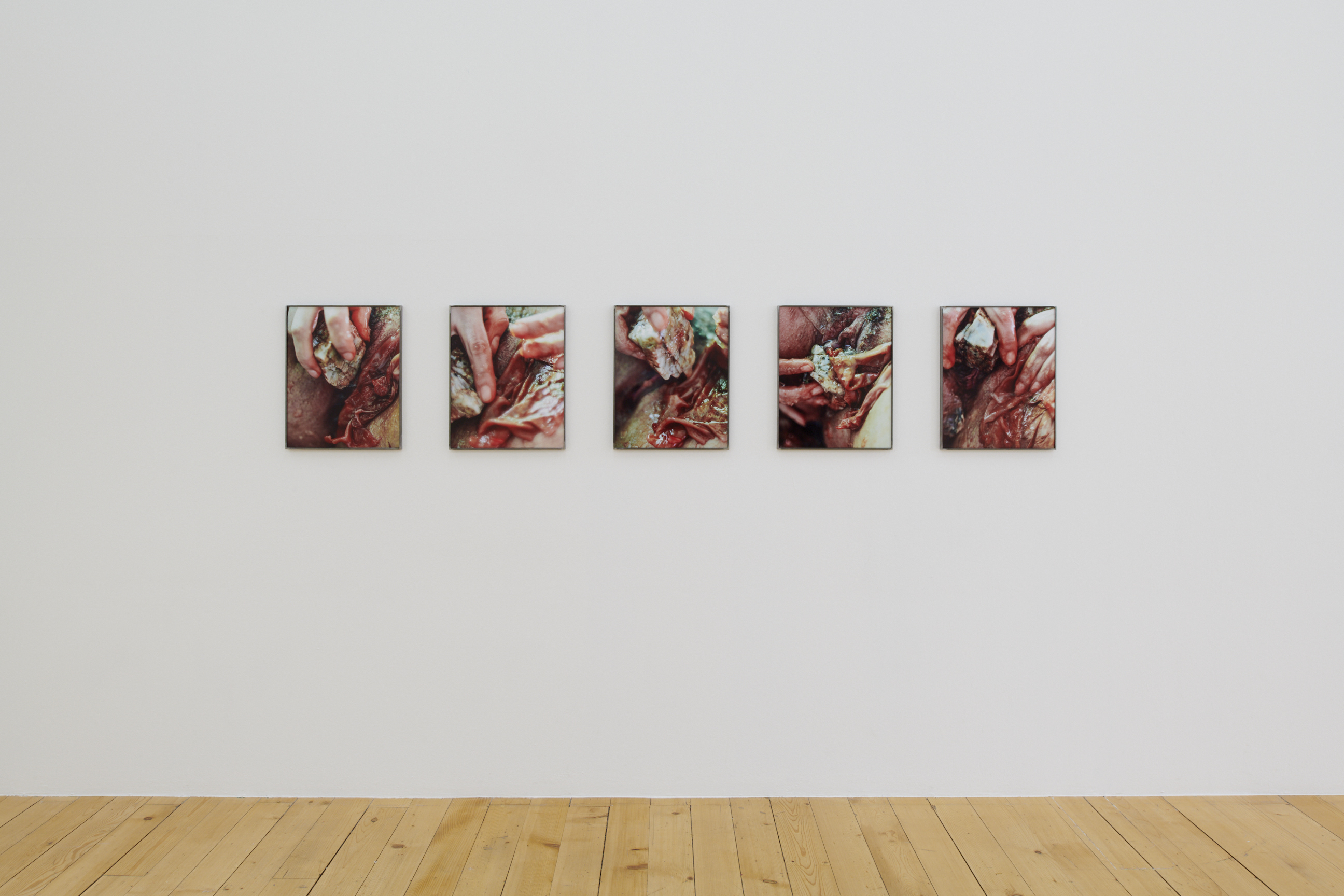 La main–pleur image