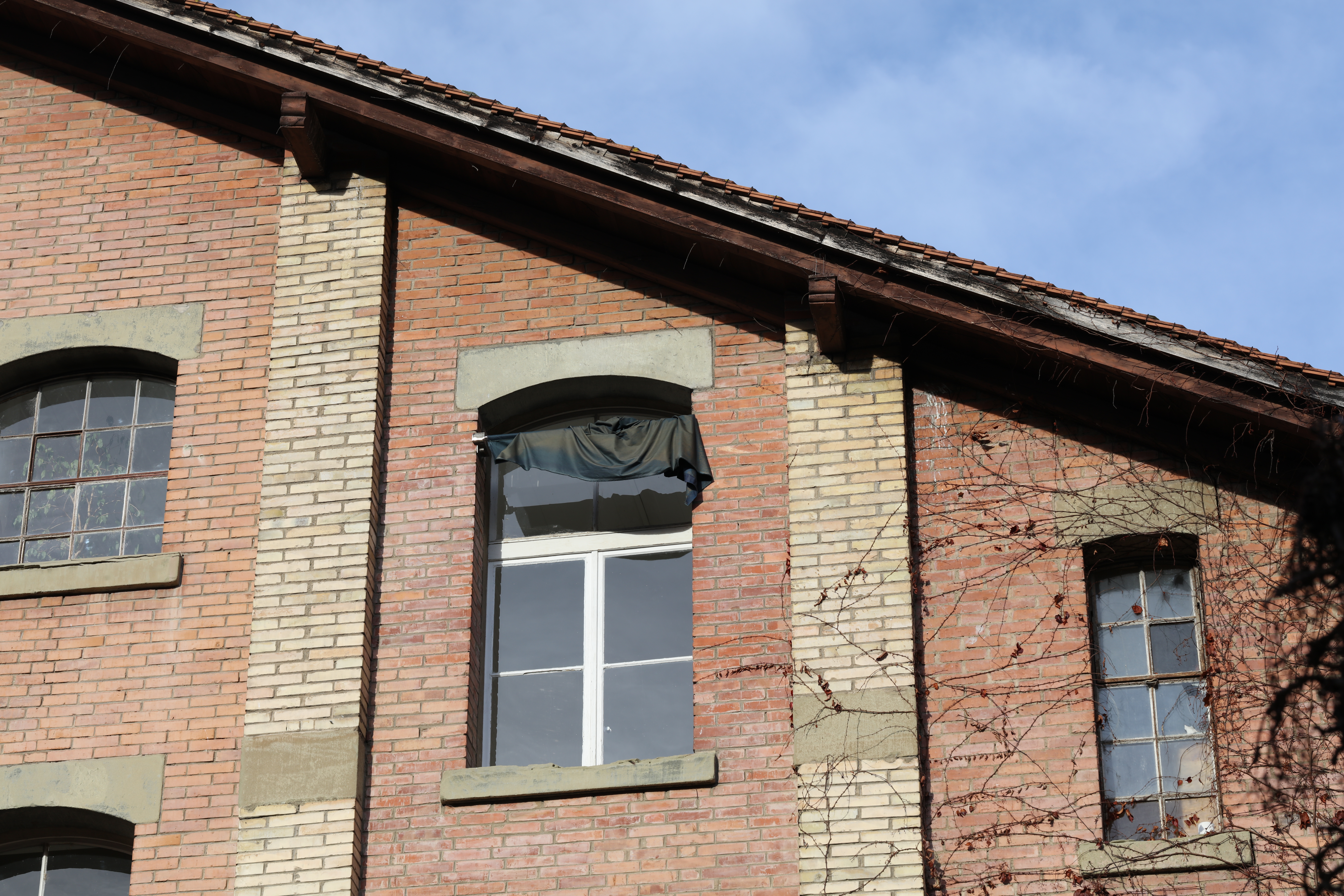 La main–pleur image