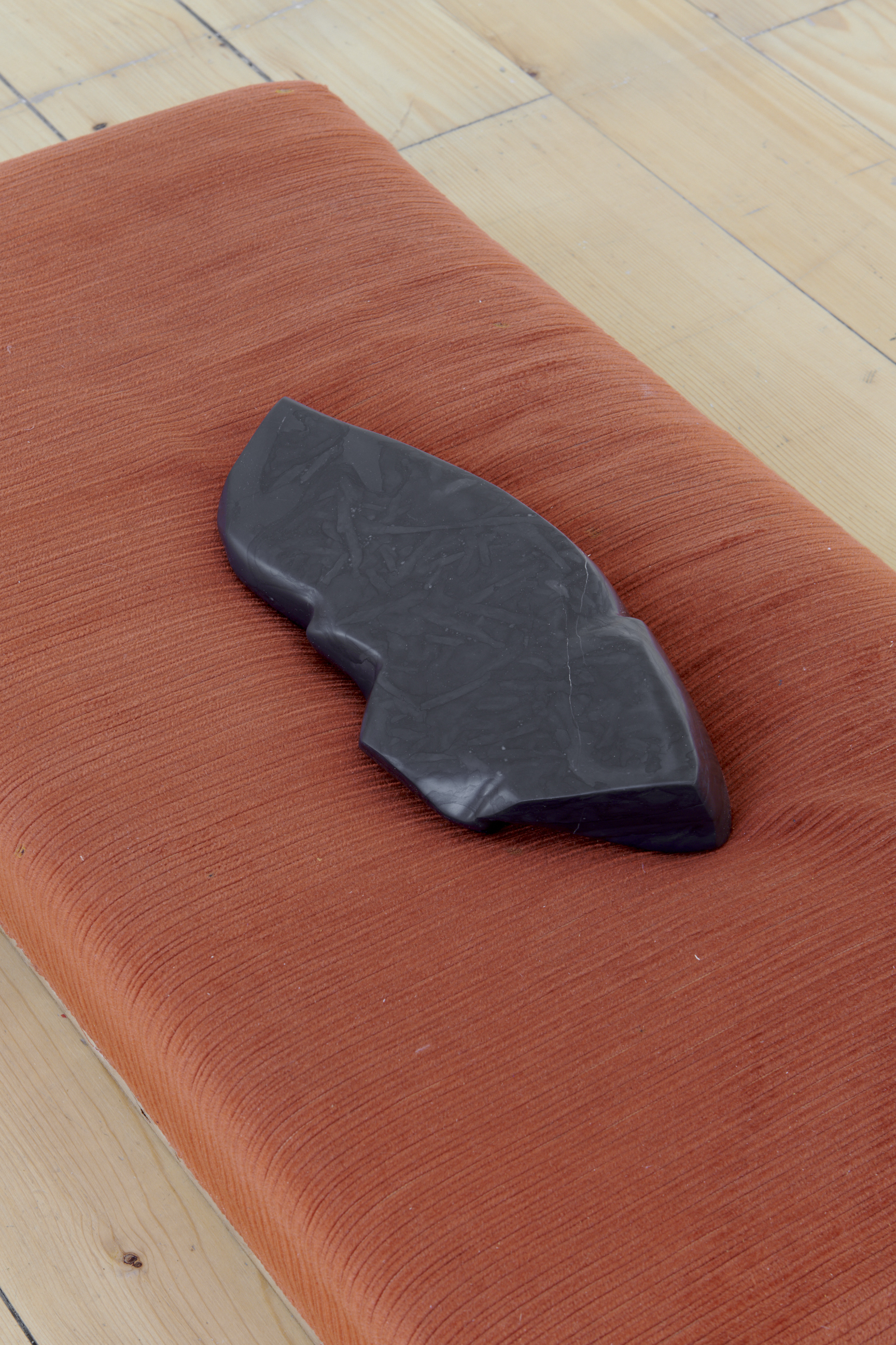 La main–pleur image