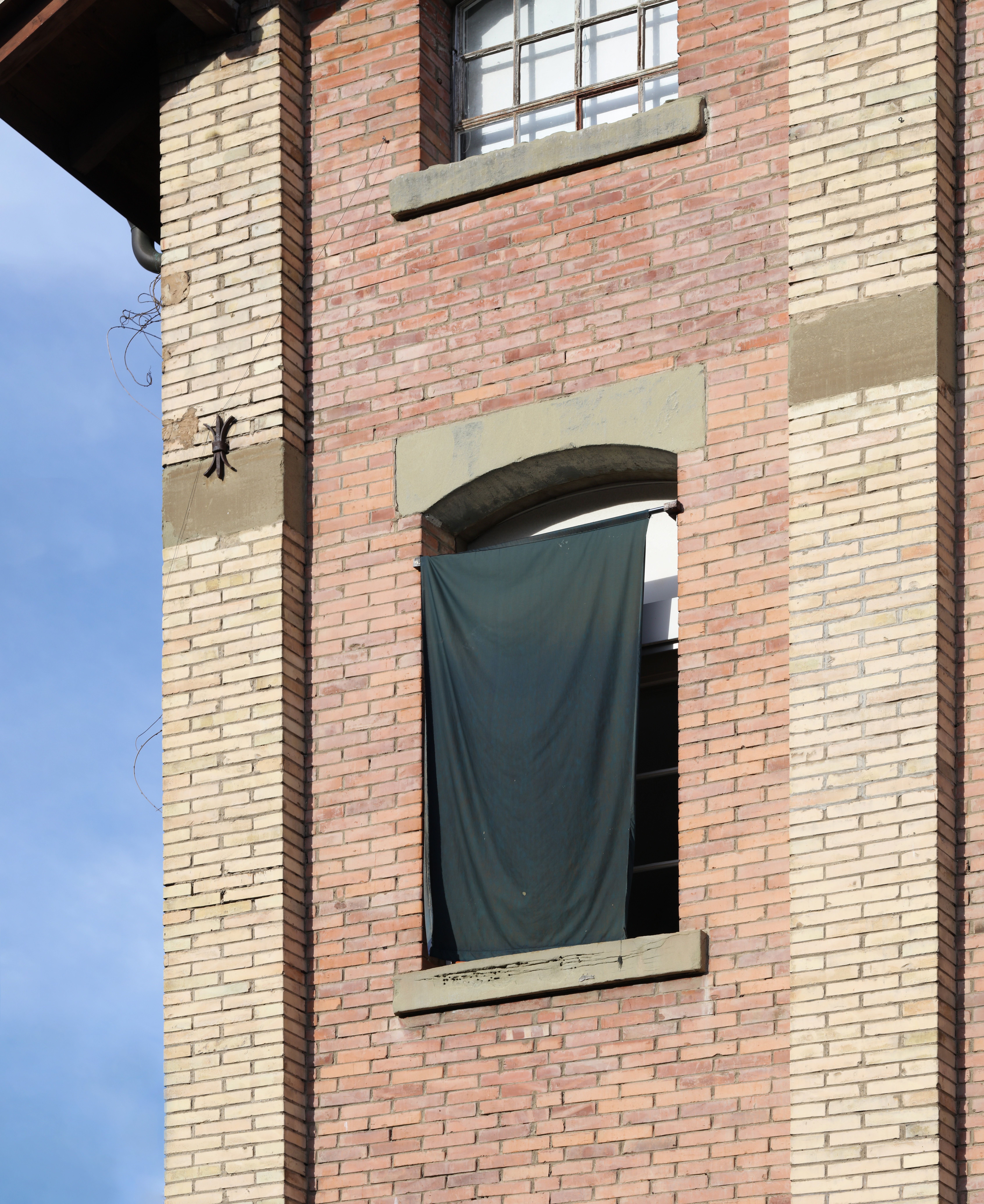 La main–pleur image