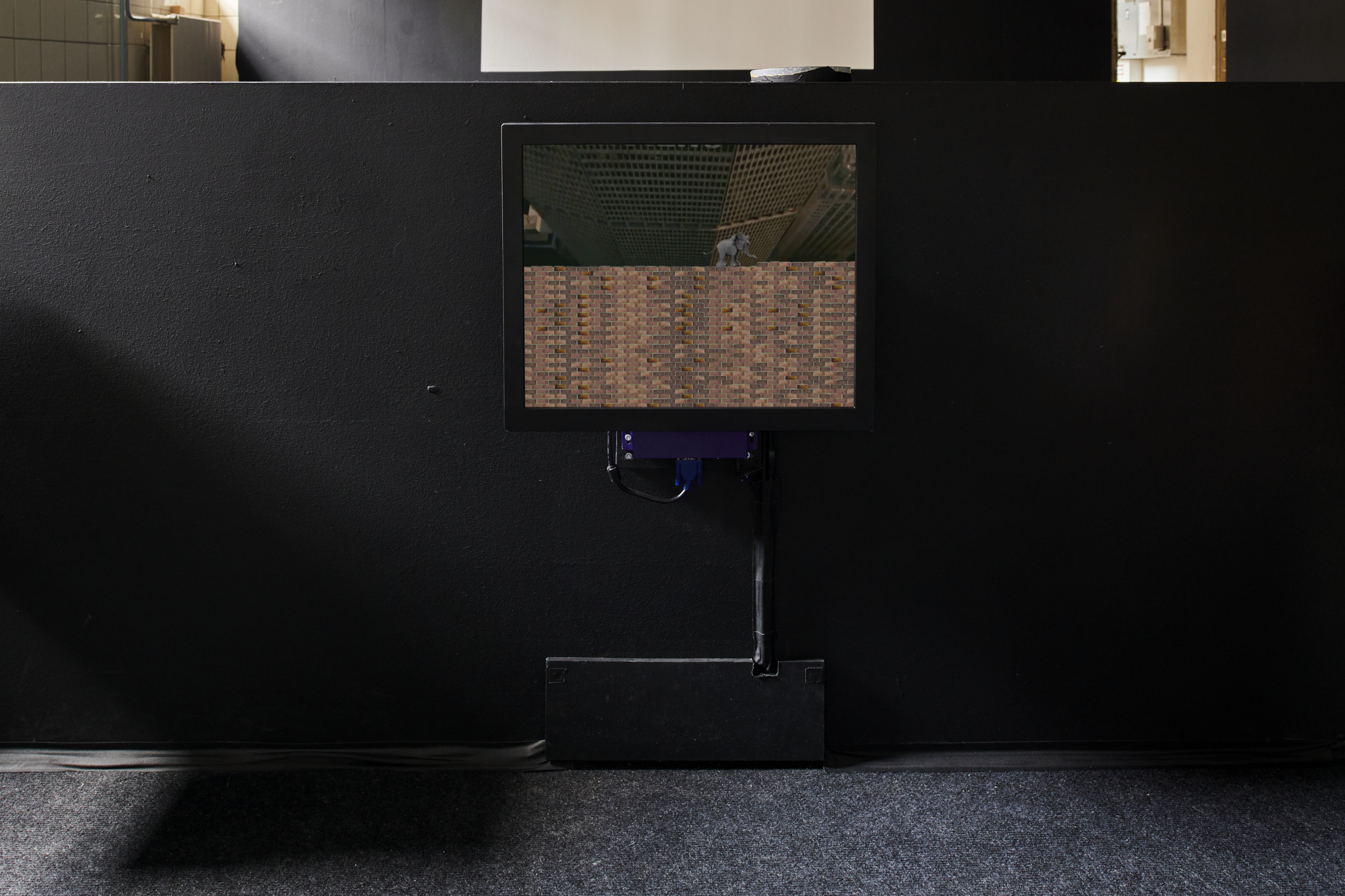 La réforme de Pooky image