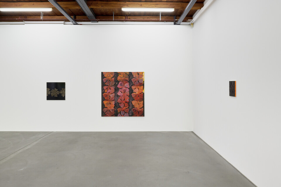 Nora Kapfer image