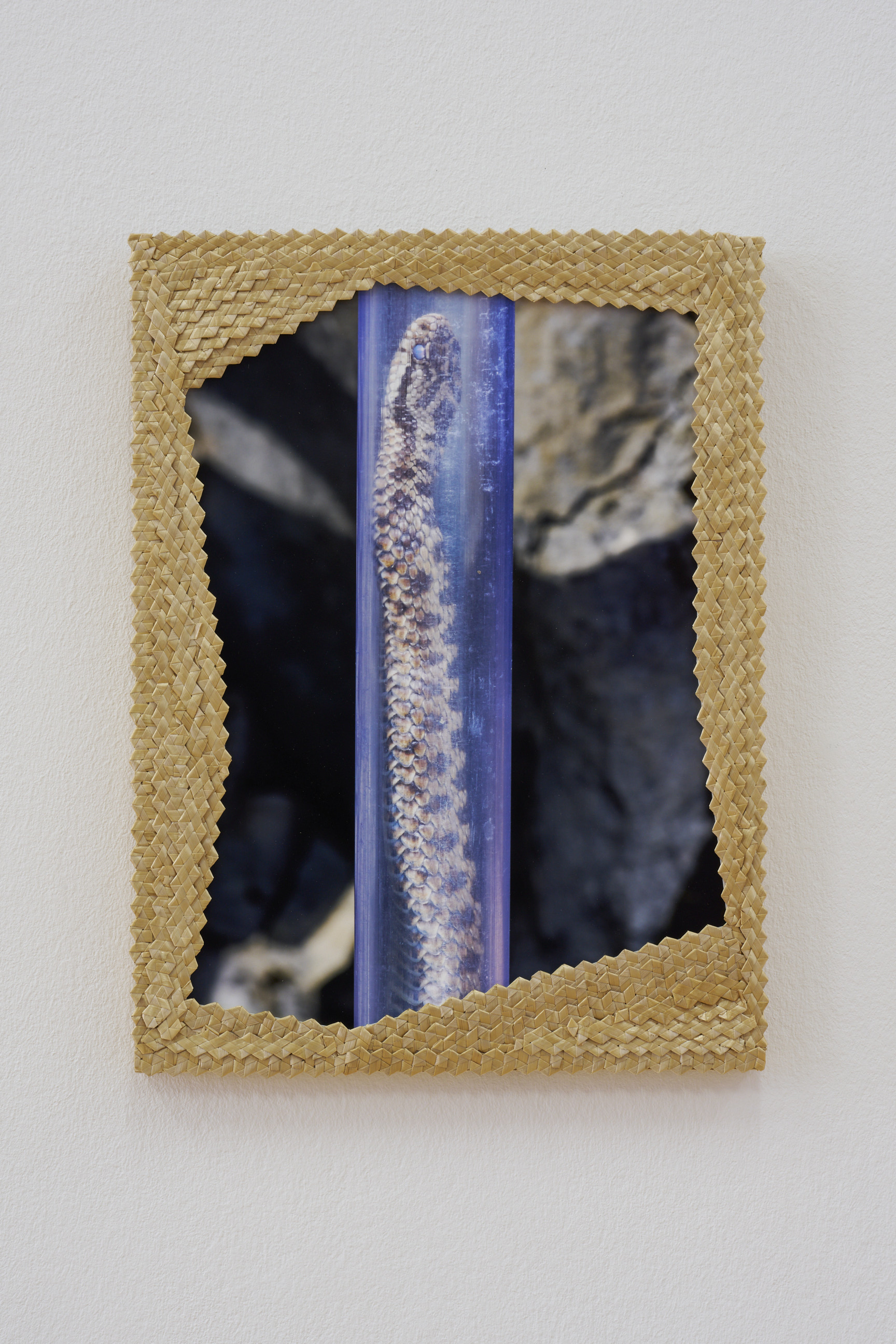 Laurence Kubski image