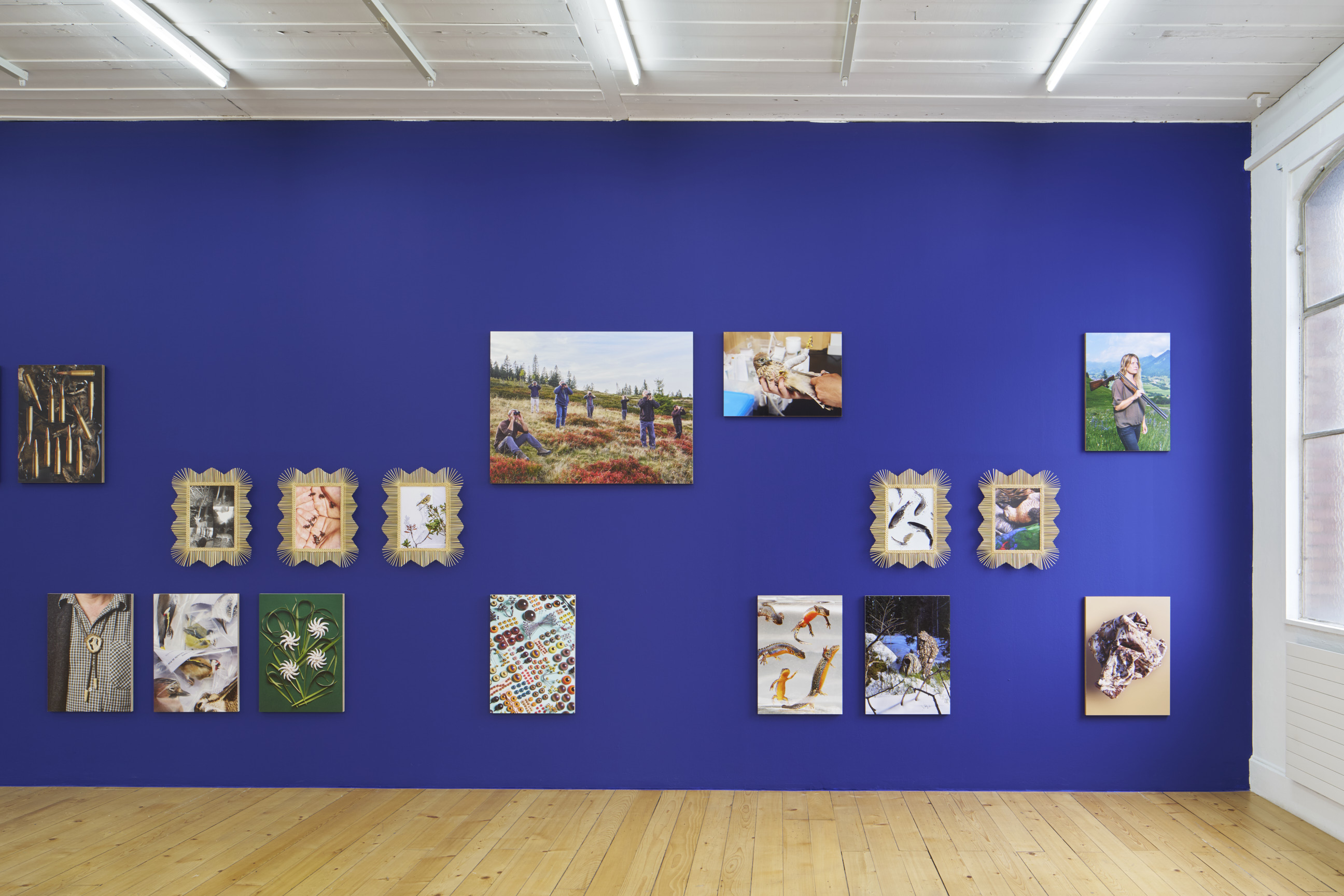 Laurence Kubski image