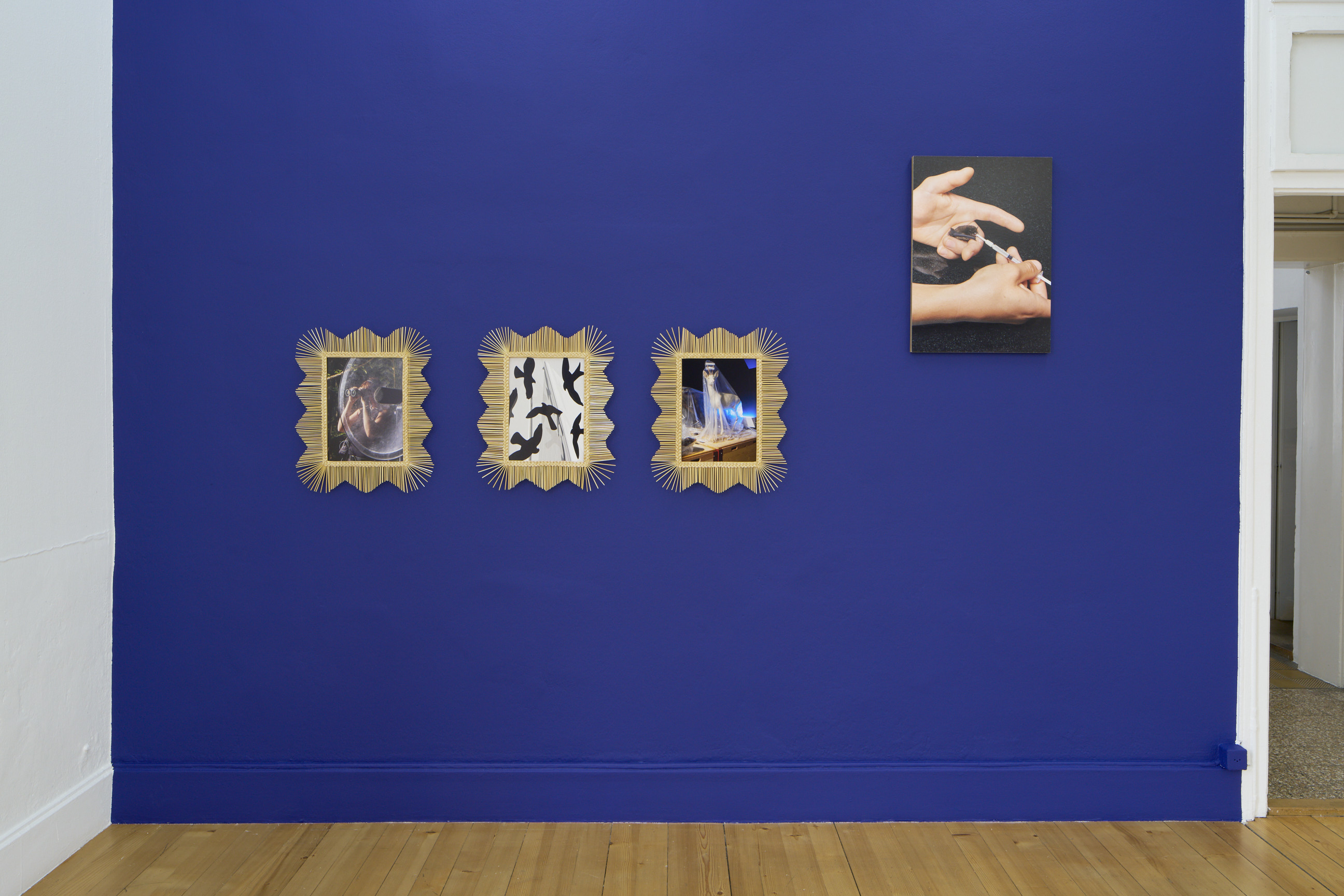 Laurence Kubski image