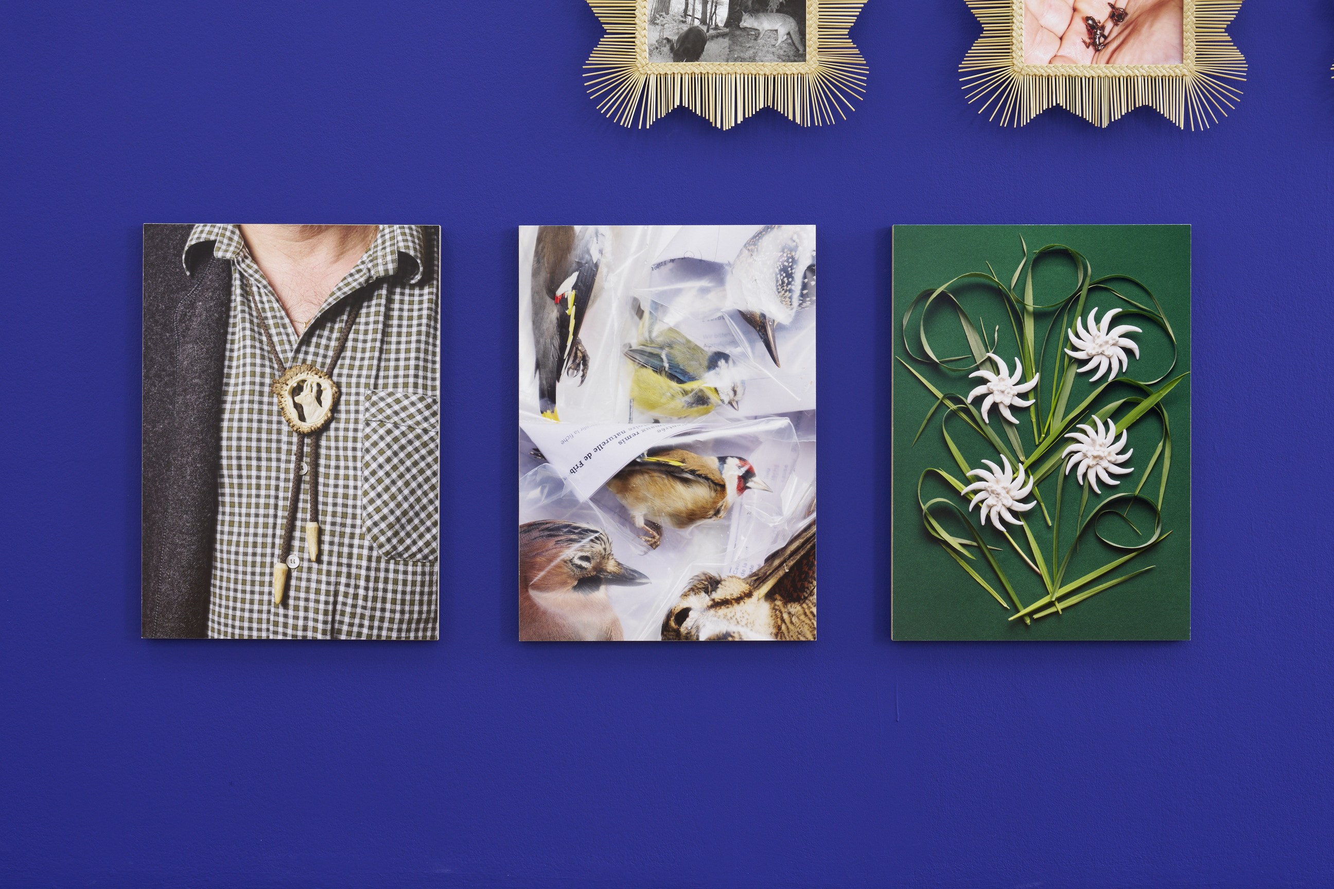 Laurence Kubski image