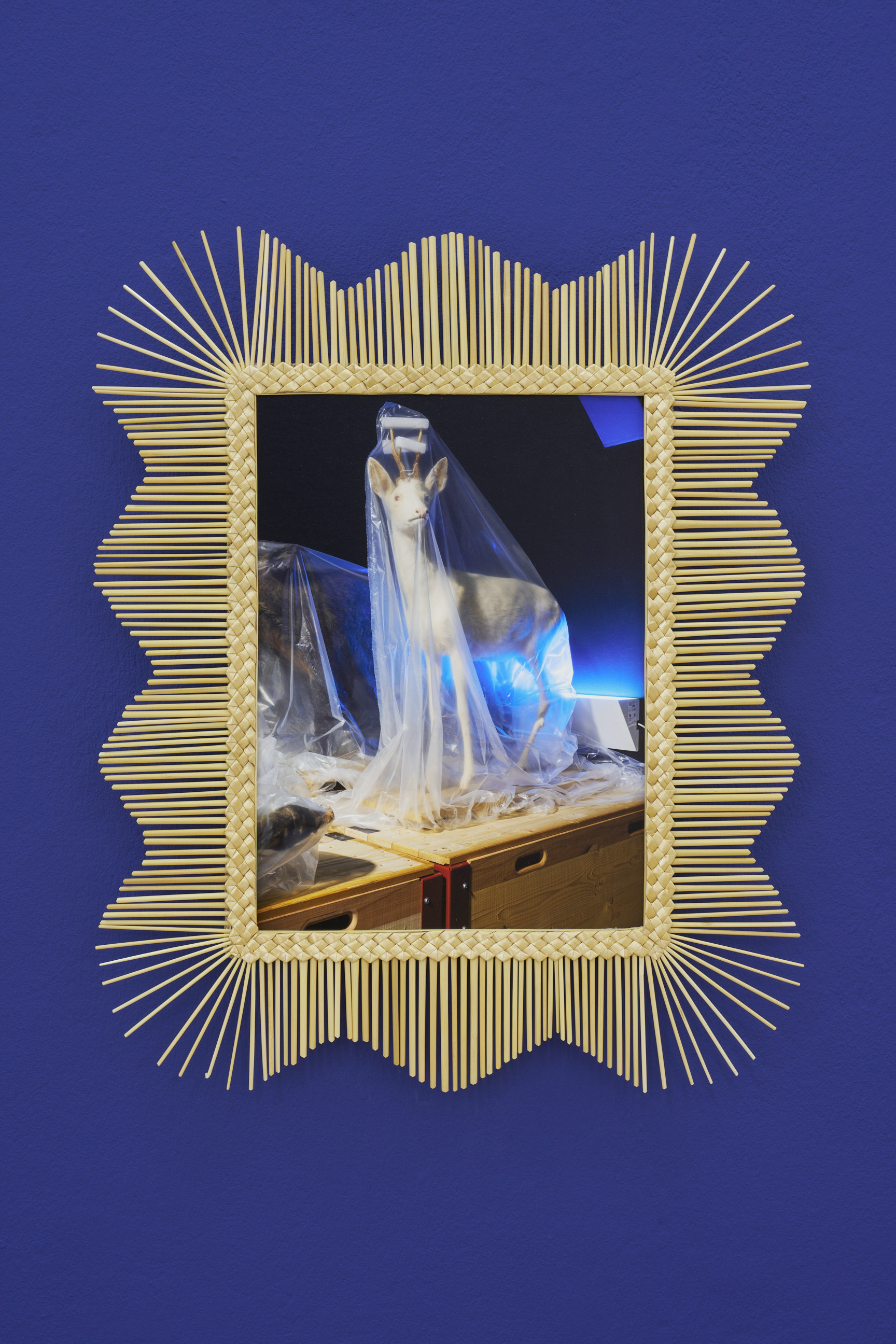 Laurence Kubski image