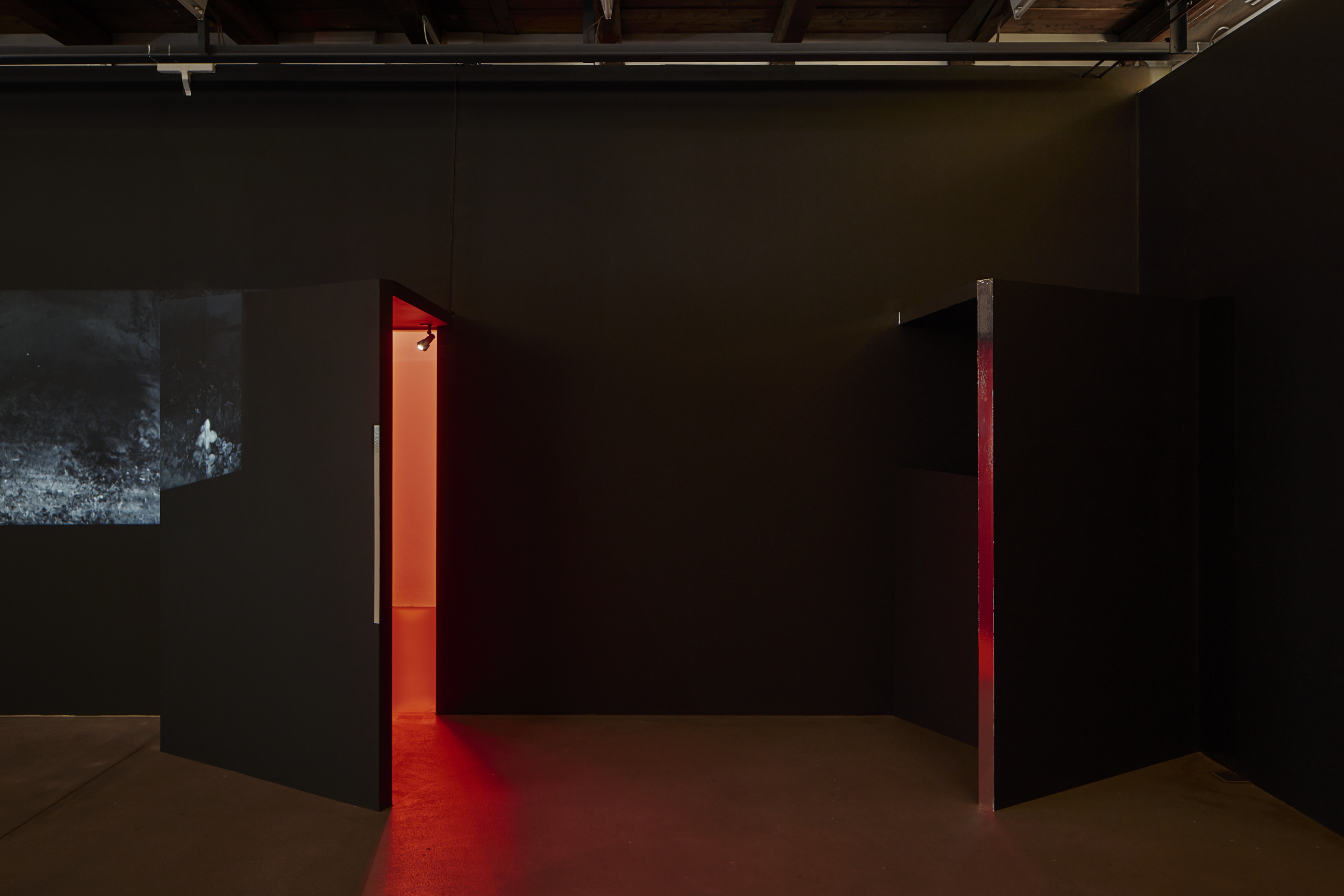 once in a hundred years image