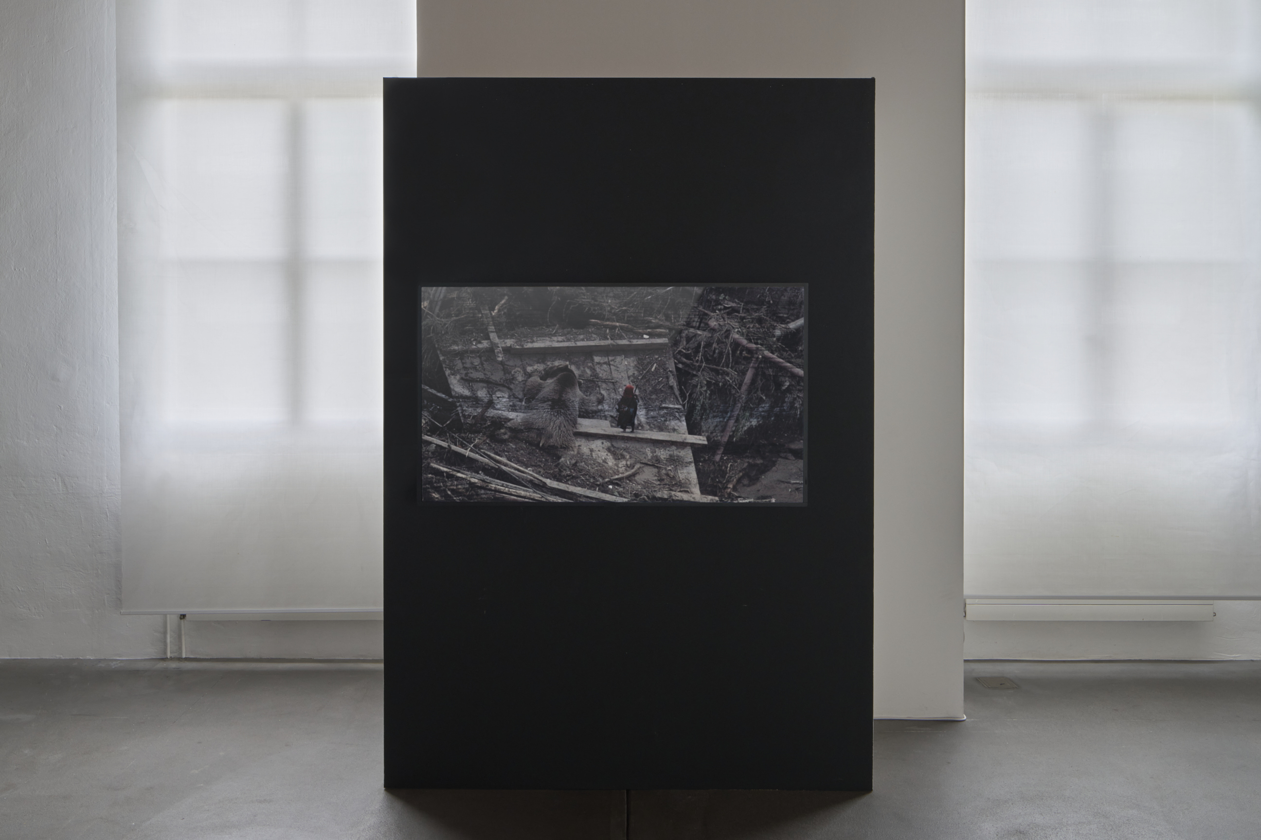 once in a hundred years image