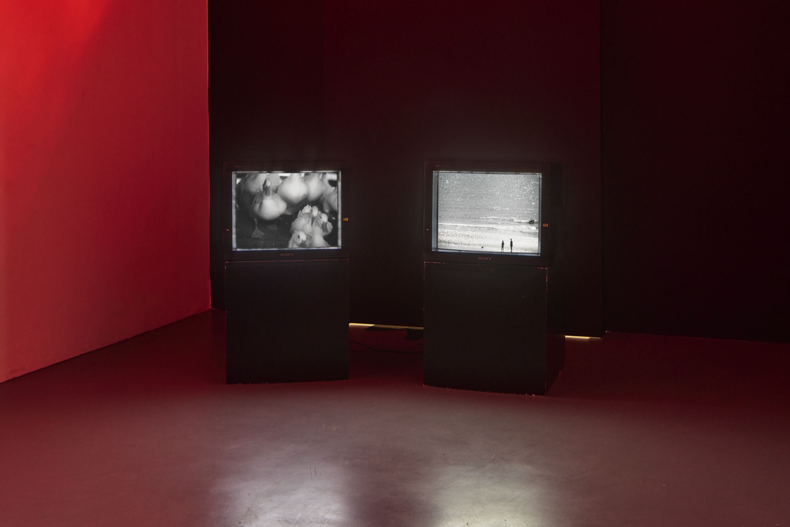 once in a hundred years image