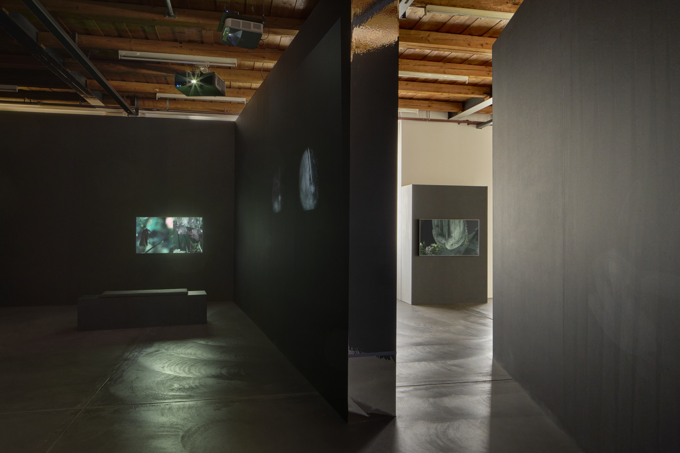 once in a hundred years image