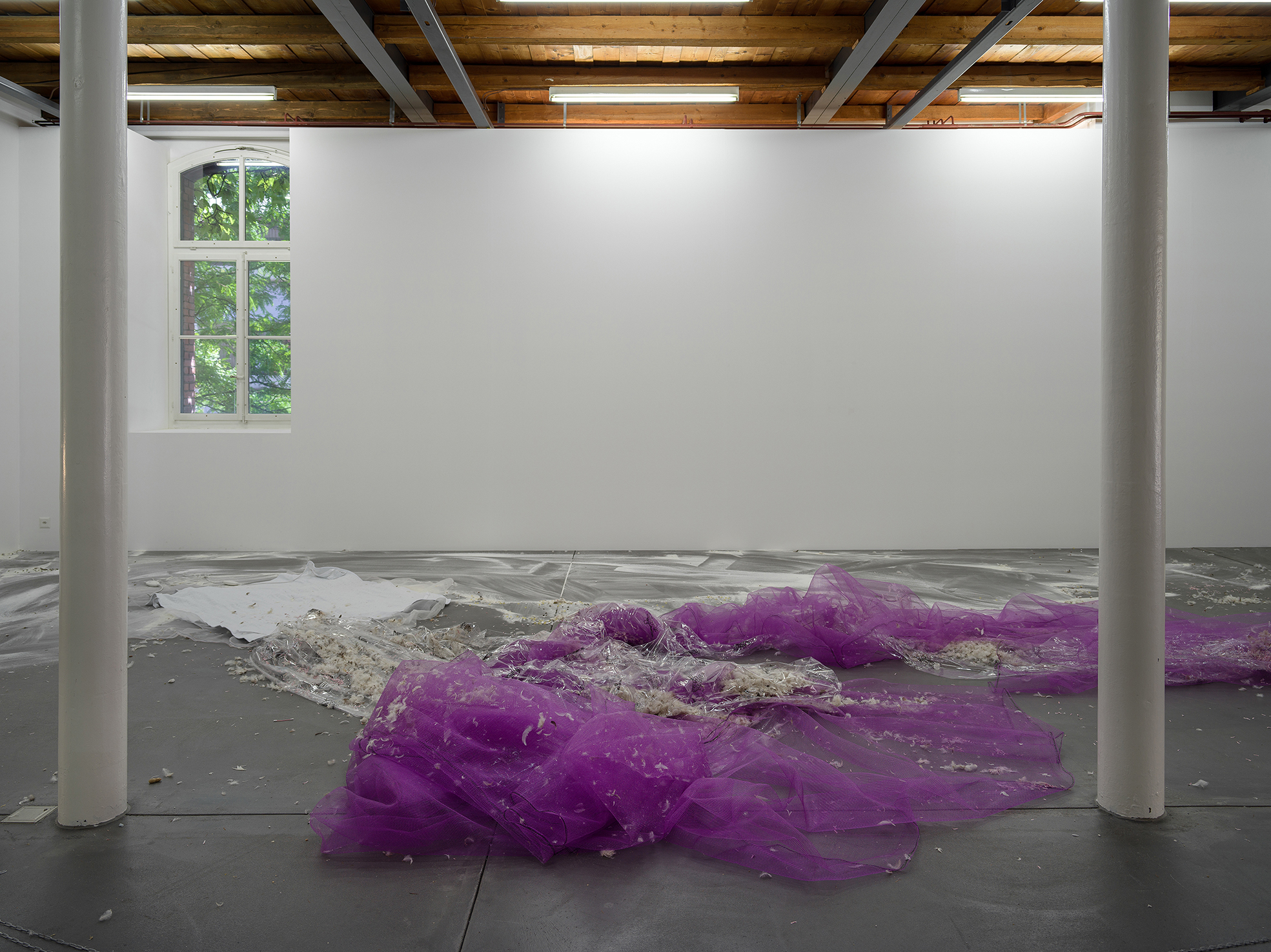 Jason Dodge image