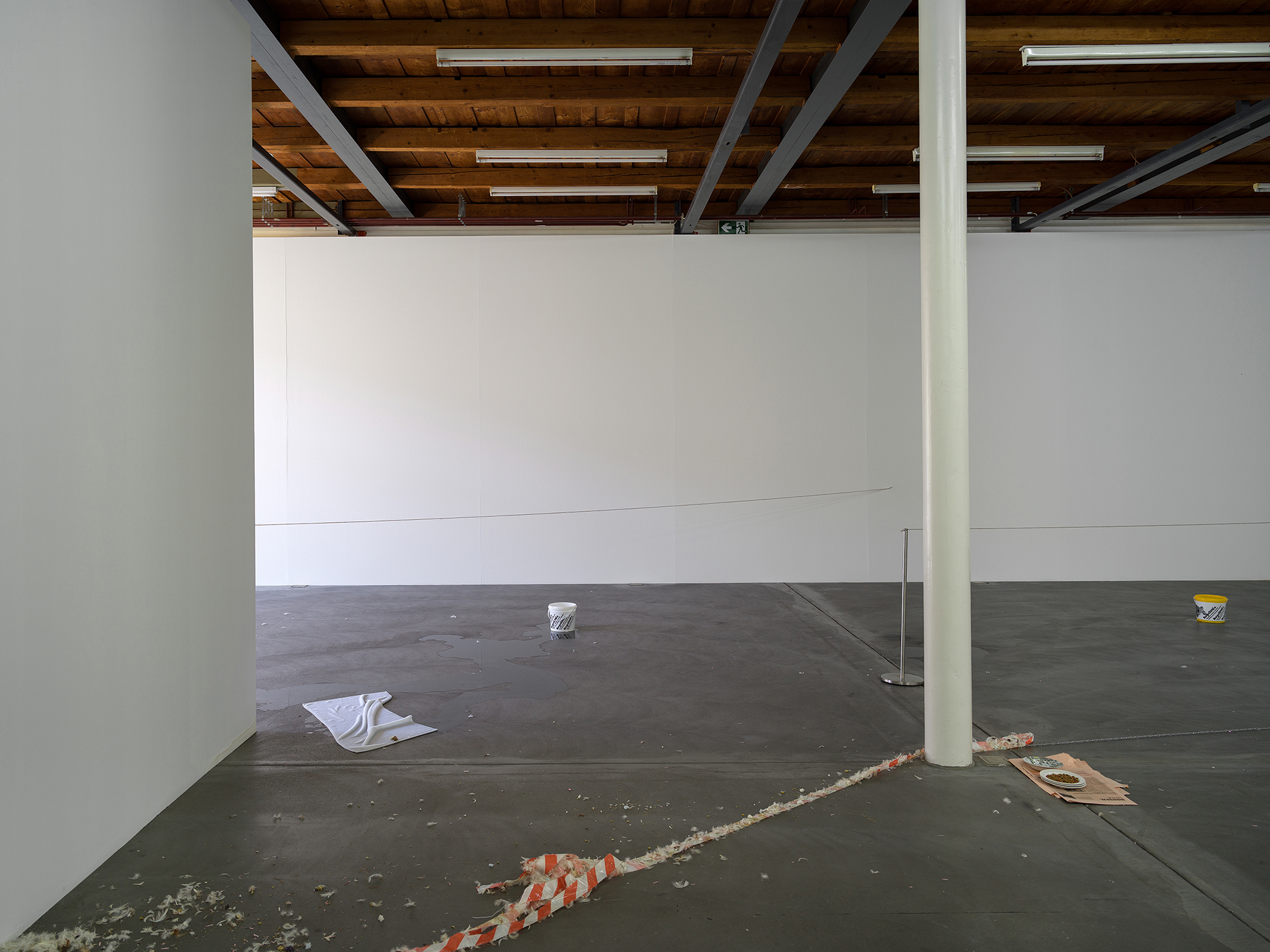 Jason Dodge image
