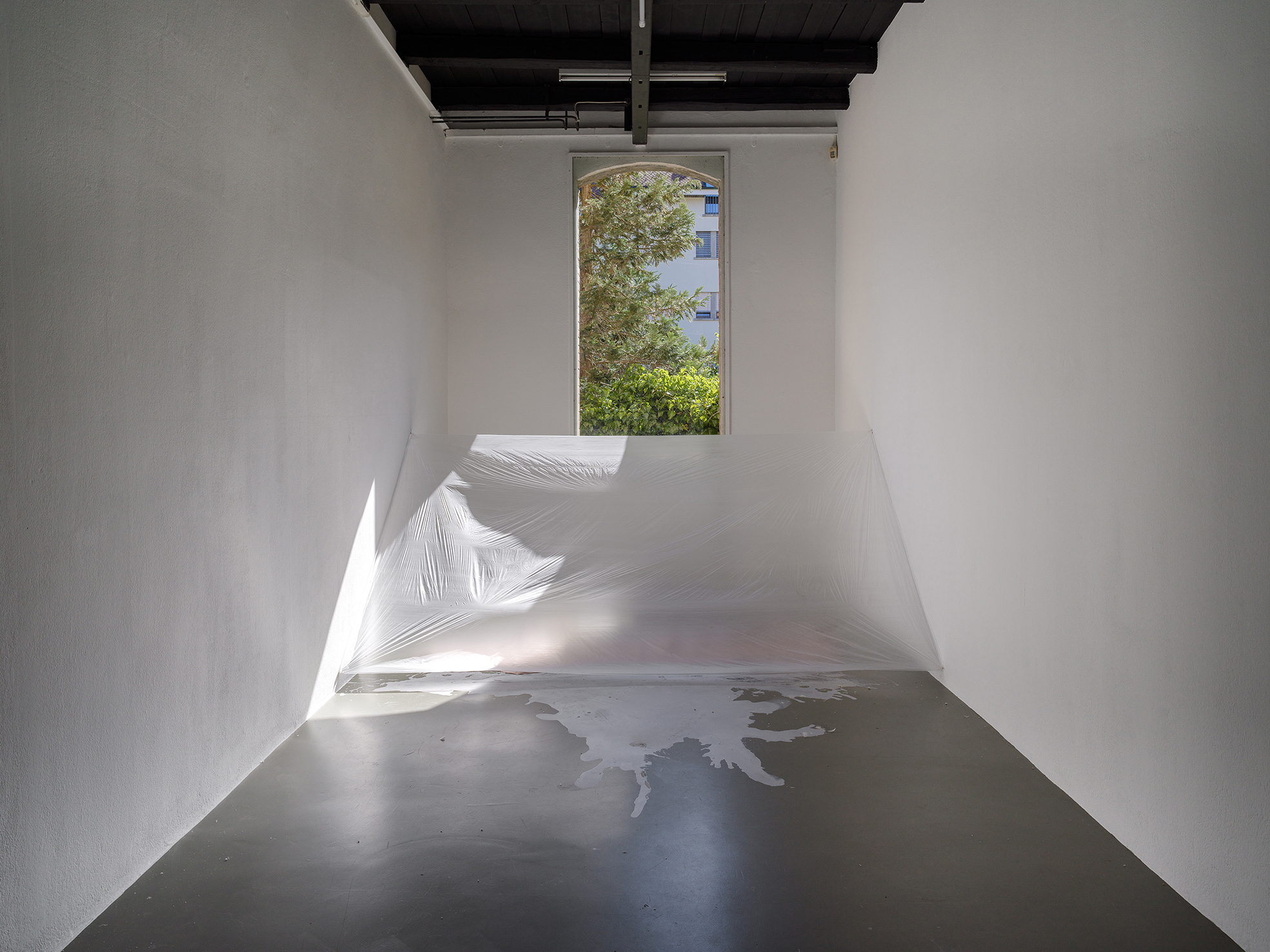 Jason Dodge image