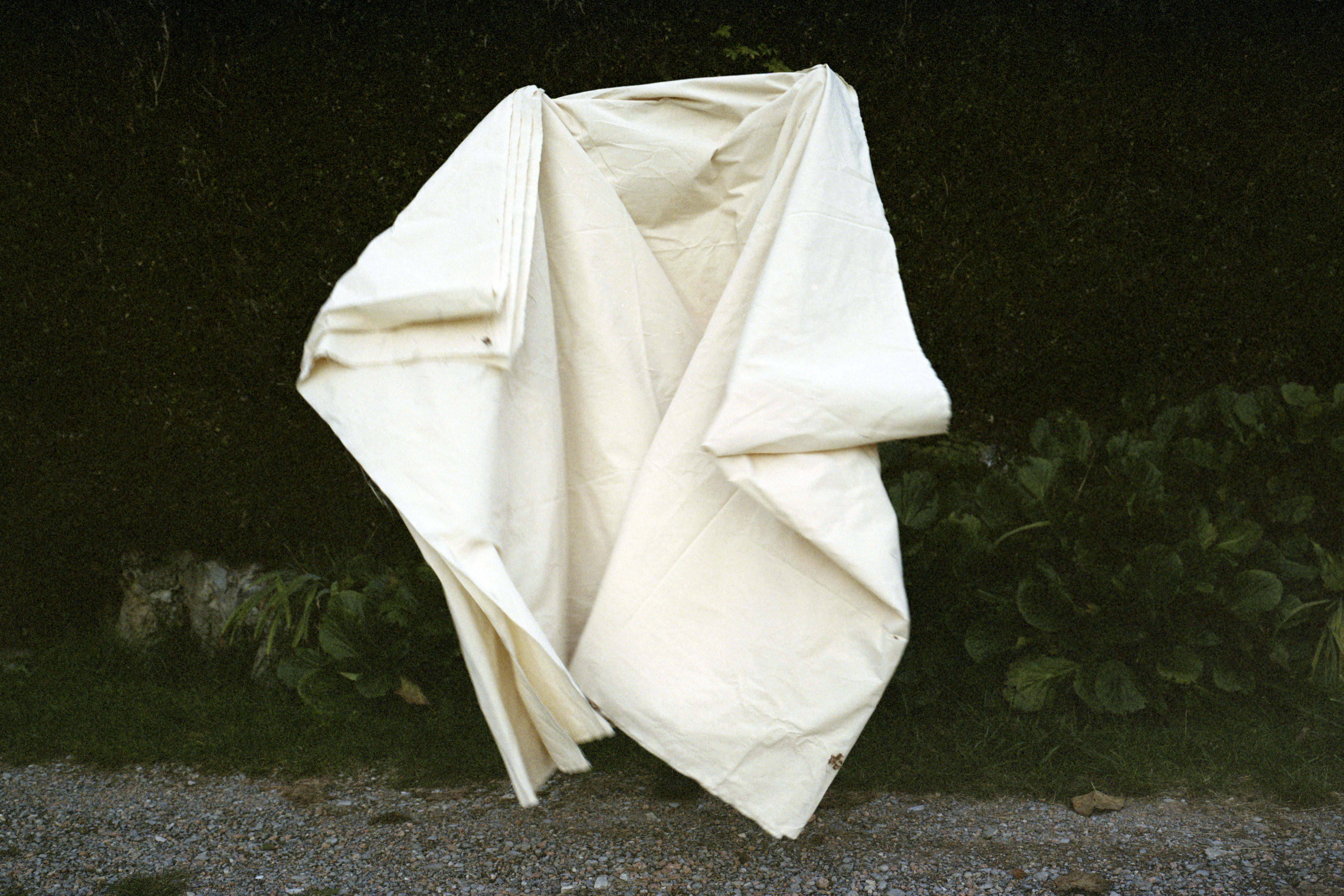 Arunà Canevascini, Auflage der Freunde von Friart image