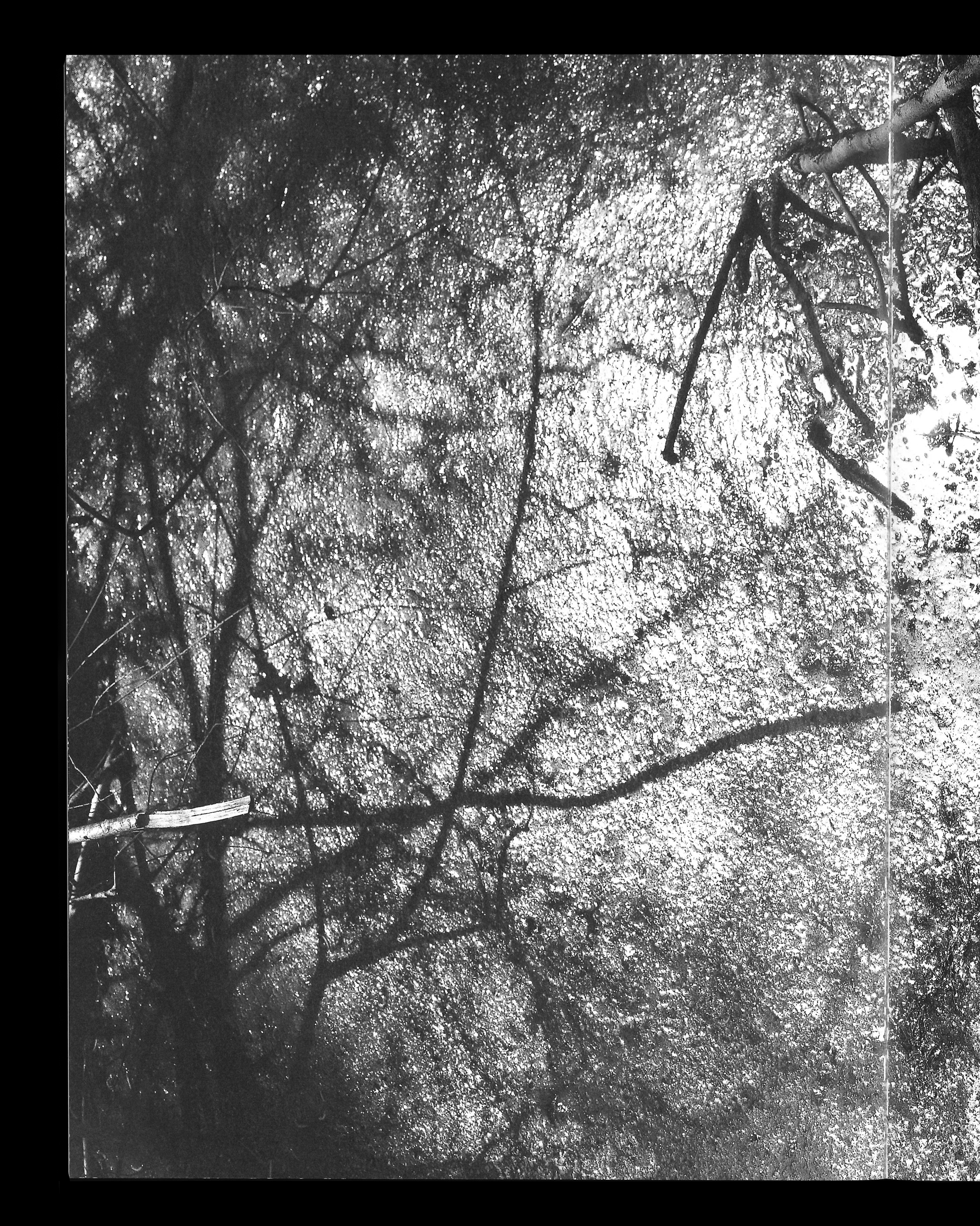 Cécile Monnier, des nuits sans silence image