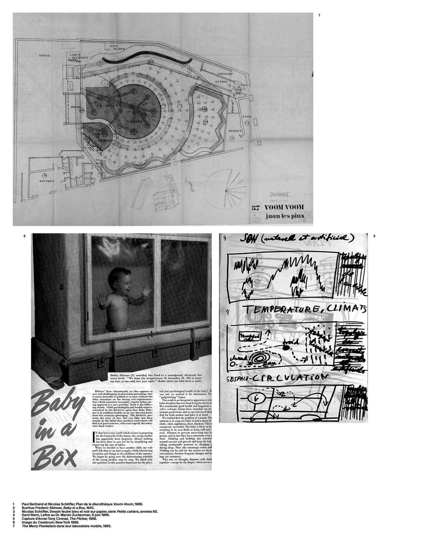 Discoteca Analitica Reader image