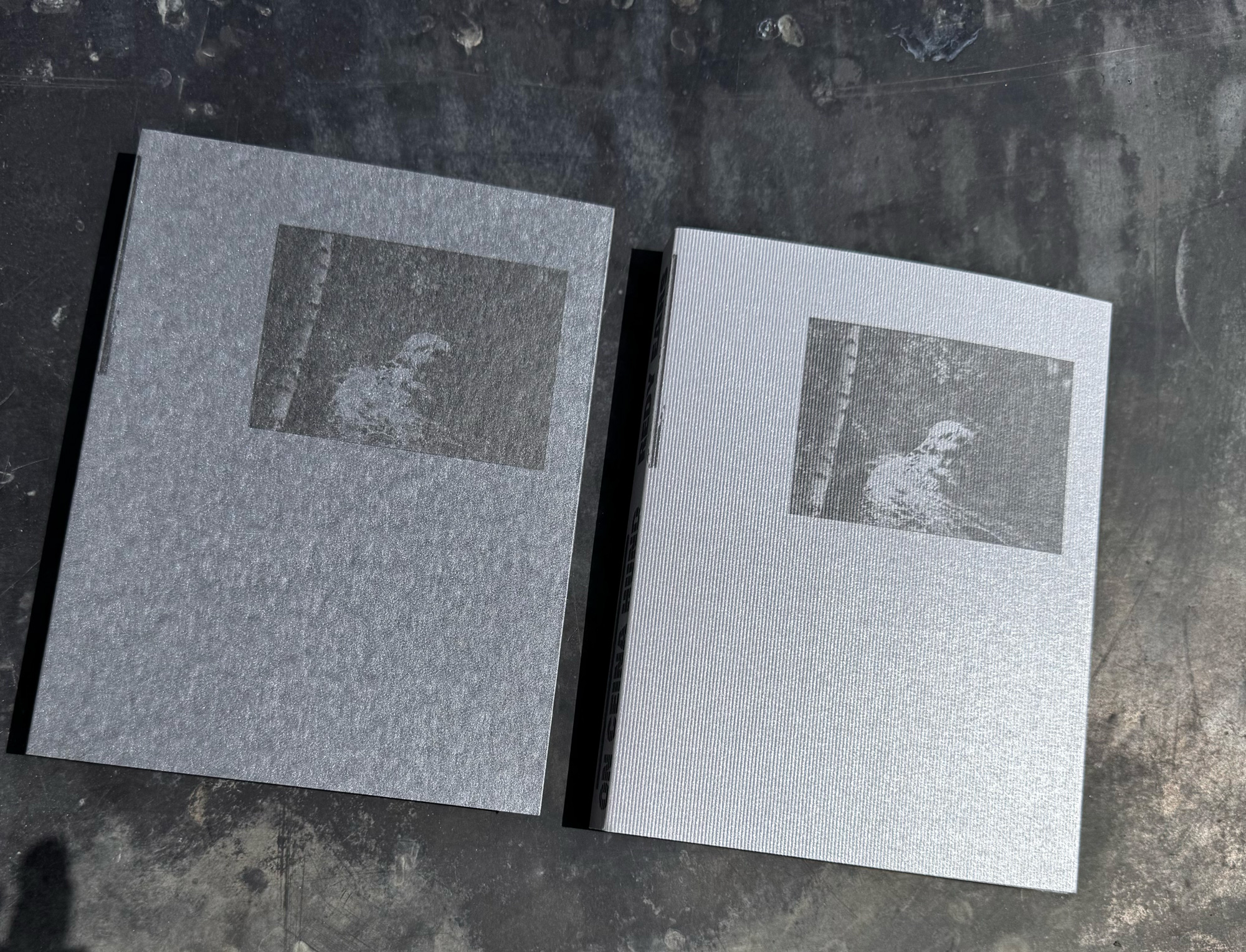 Éditions / Livres image