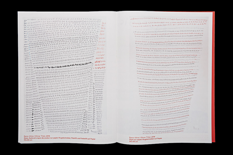 Pascal Vonlanthen image