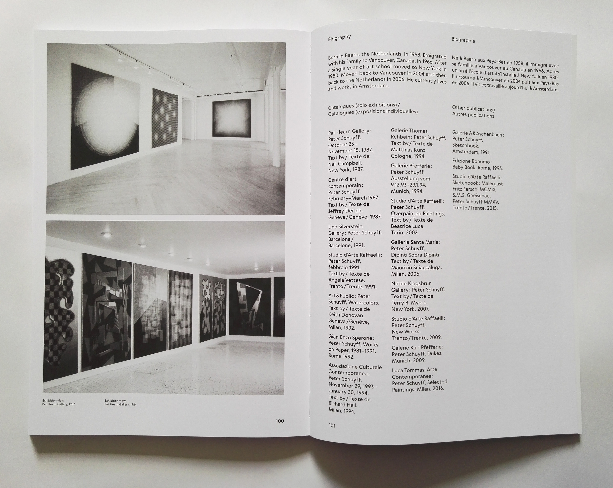 Peter Schuyff, 82-89 image