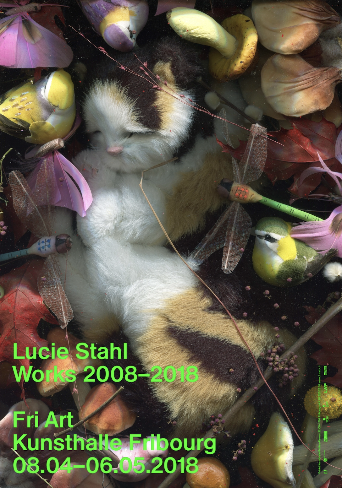 Editions / Books image