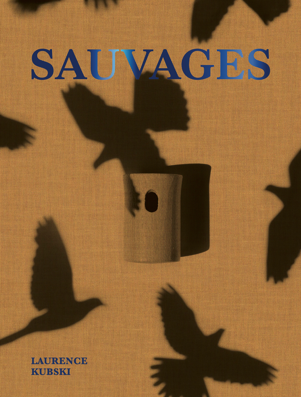 Éditions / Livres image