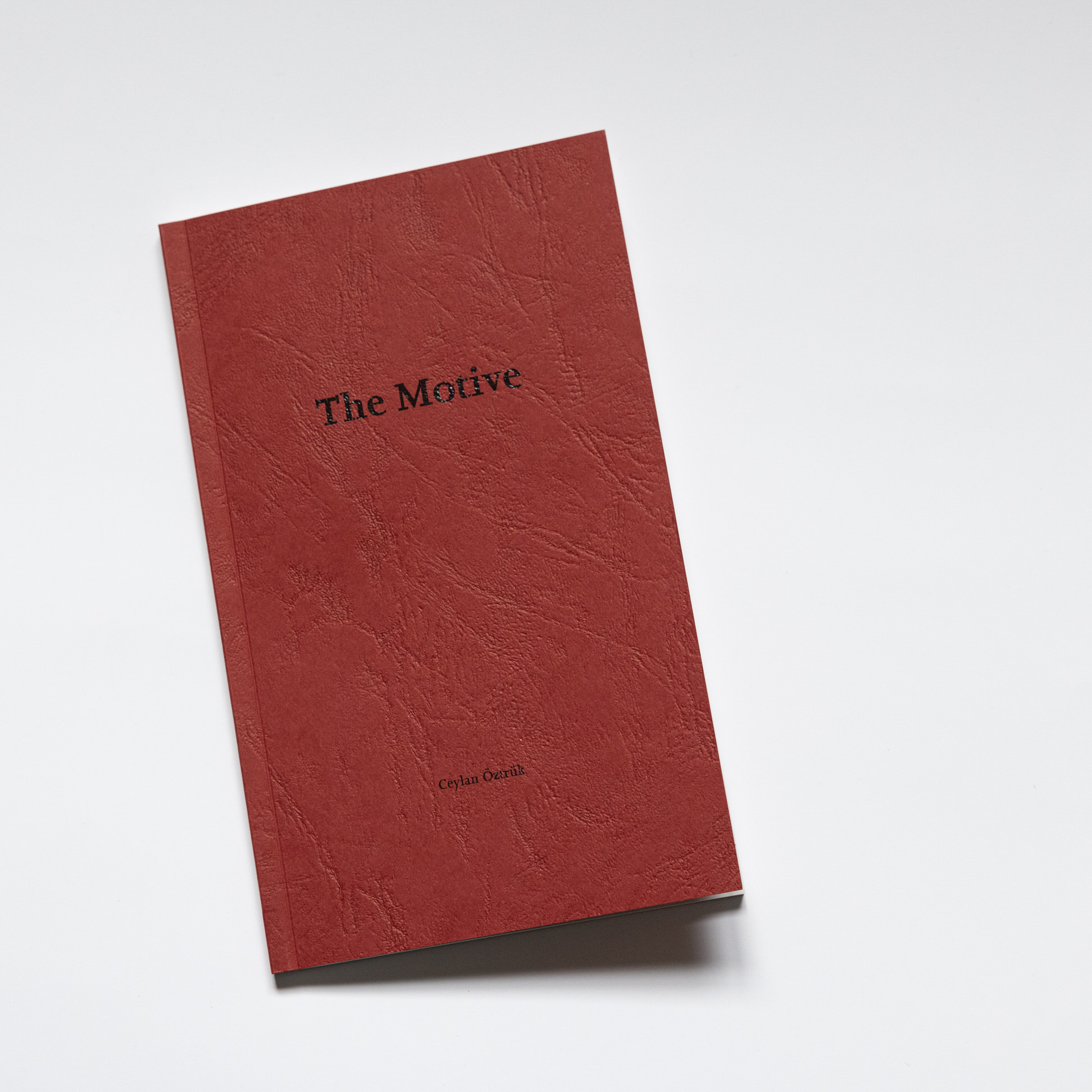 Editionen / Bücher image
